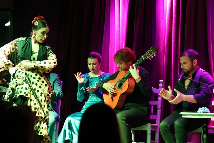 Vibrante Espectáculo Flamenco y Menú de Tapas en Alicante