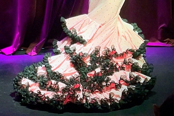 Vibrante Espectáculo Flamenco y Menú de Tapas en Alicante