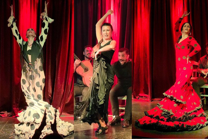 Vibrante Espectáculo Flamenco y Menú de Tapas en Alicante