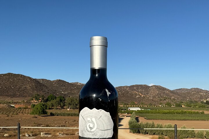 Privat Deluxe vinresa till Valle de Guadalupe med lyxfordon