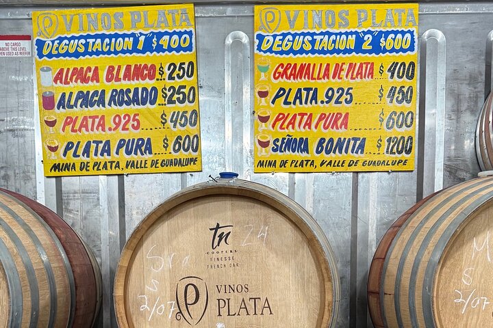 Privat Deluxe vinresa till Valle de Guadalupe med lyxfordon
