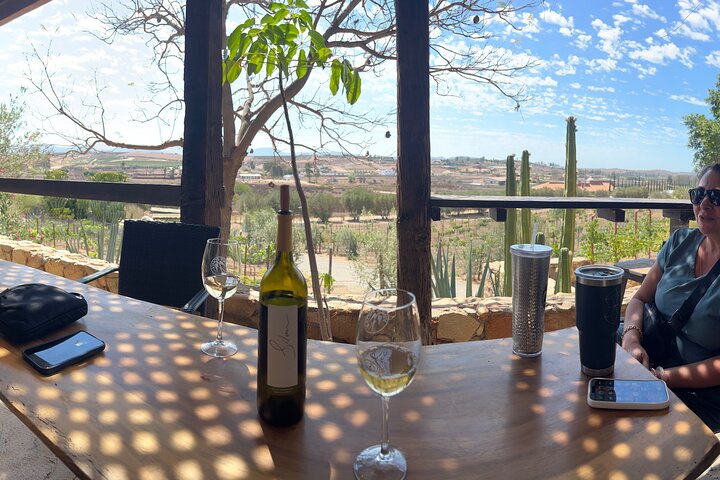 Privat Deluxe vinresa till Valle de Guadalupe med lyxfordon