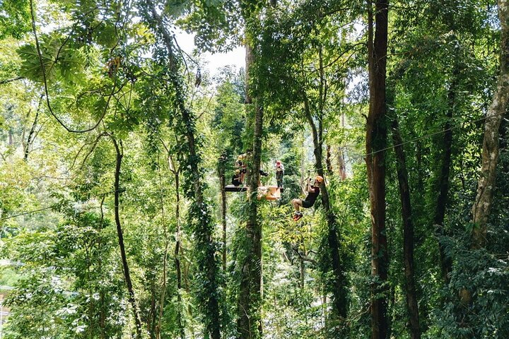 Khao Lak Ethical Elephant Sanctuary & Zipline Adventure
