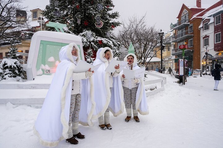 Privétransfer naar Montreal YUL Airport van Mont-Tremblant