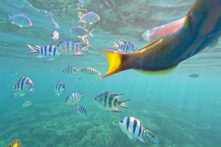 North Okinawa : Privékajak & snorkelavontuur