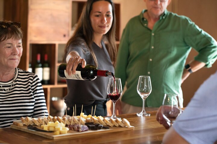 Medoc eller Saint Emilion vinsmagning og Chateau fra Bordeaux