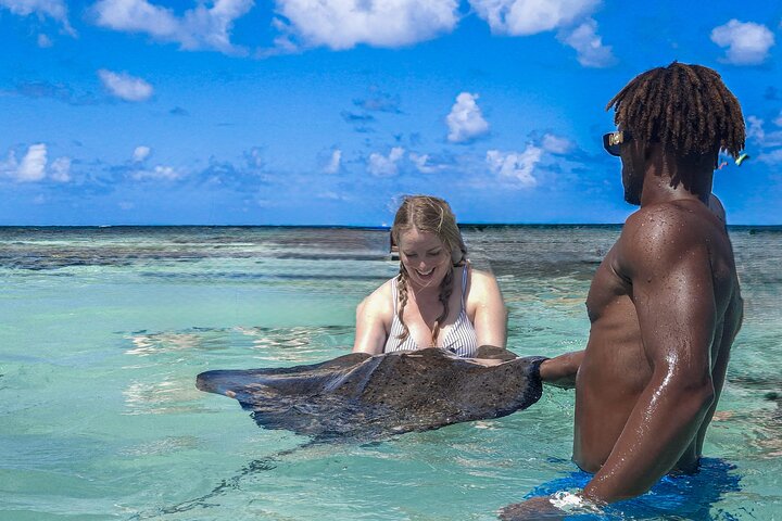 Familievennlig Stingray City Tour – Alder 0 +