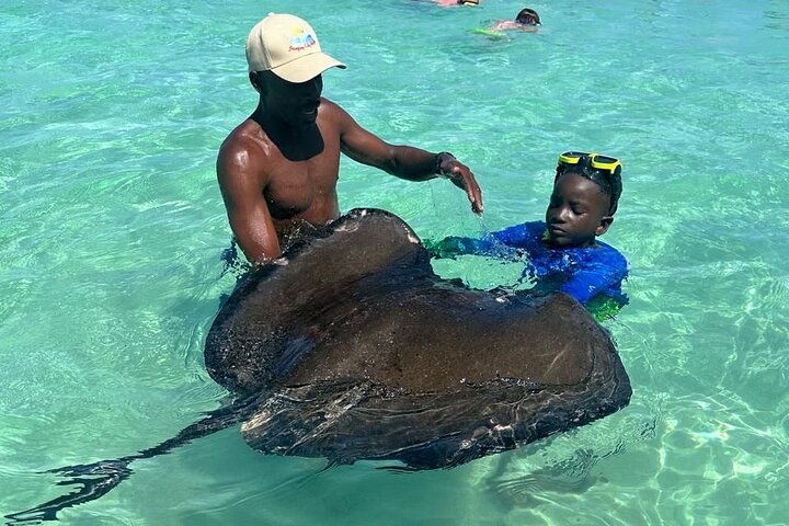 Familievennlig Stingray City Tour – Alder 0 +