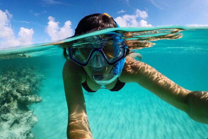 Familievennlig Stingray City Tour – Alder 0 +