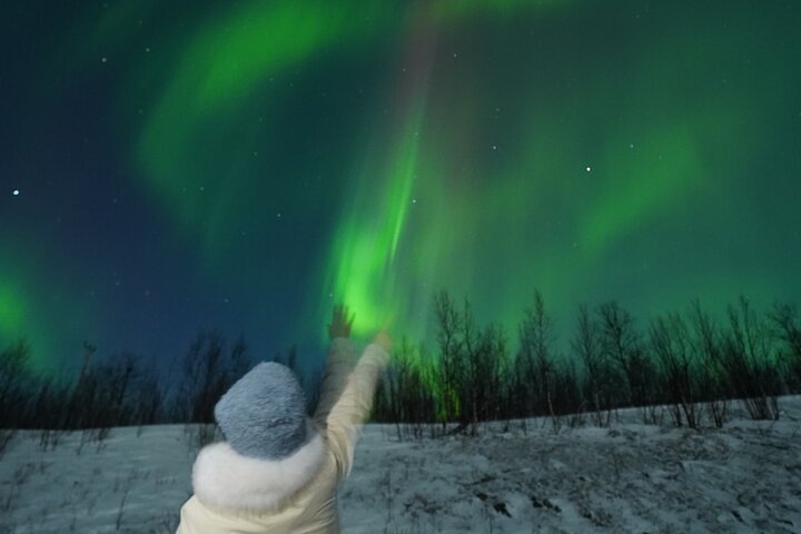 Hoteller i nærheden af Northern Light Minibus Hunt to Abisko National Park