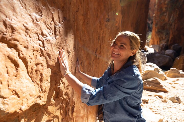 West MacDonnell Ranges e Standley Chasm Day Trip da Alice Springs