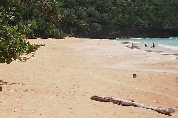Aventura en Samaná: Cayo Levantado y Salto del Limón.