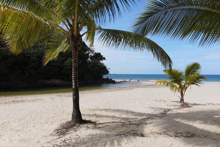 Aventura en Samaná: Cayo Levantado y Salto del Limón.