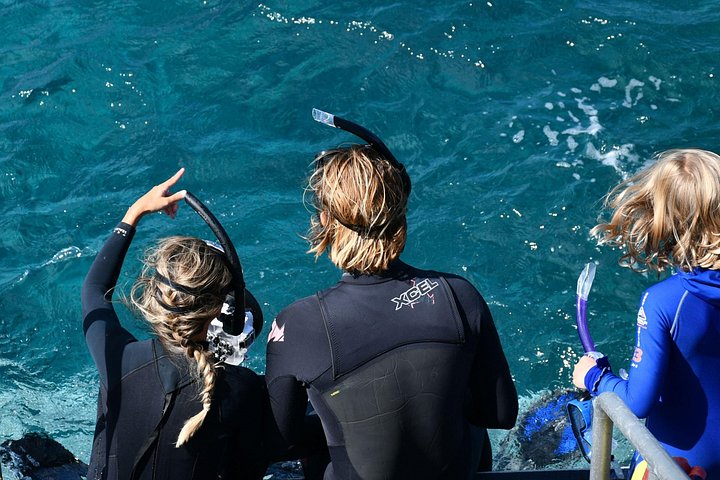 Départ de Nusa Penida, Snorkeling Manta Rays & West Side Land Tour