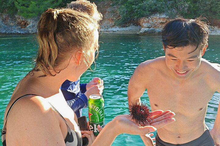 Zadar: Tour en barco en grupo pequeño con bebidas y snorkel