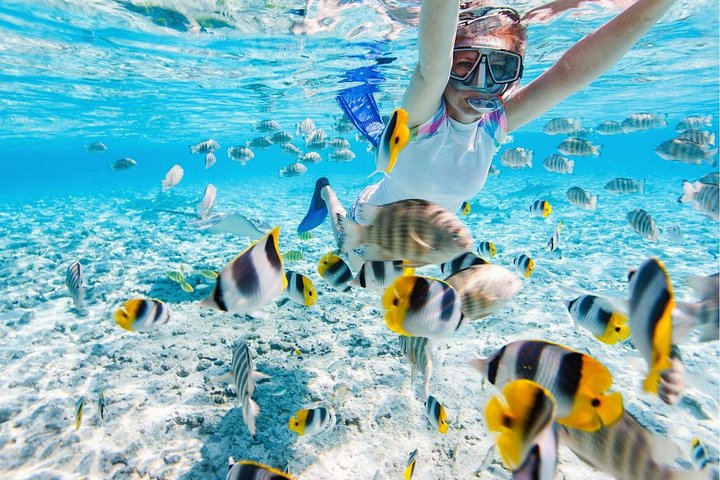 Départ de Nusa Penida, Snorkeling Manta Rays & West Side Land Tour