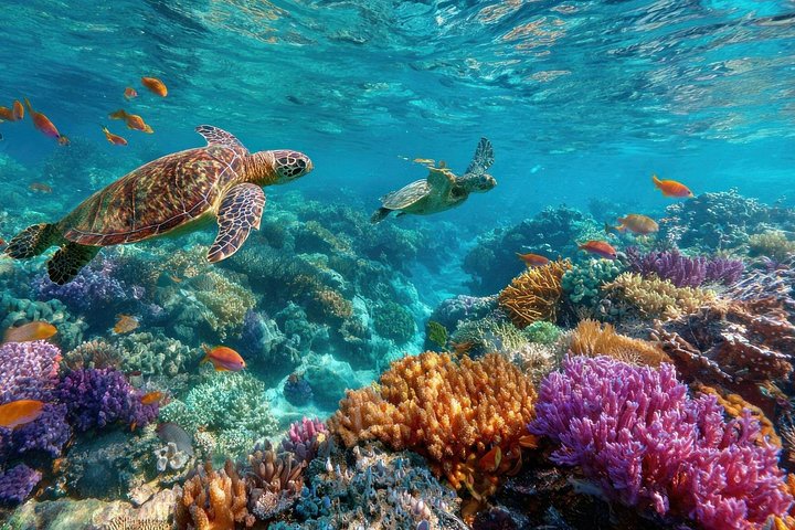 Départ de Nusa Penida, Snorkeling Manta Rays & West Side Land Tour