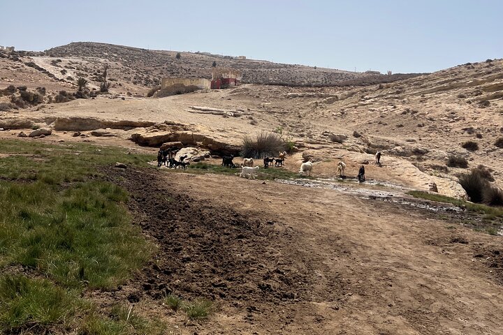 Essaouira Waterfall Caminata y paseo costero con Tagine, Pesca