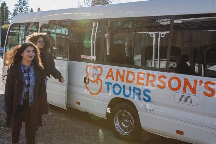 Depart Syd: Blue Mountains Best All Inclusive with Local Guide