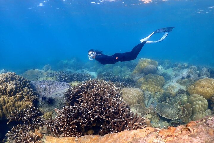 Pattaya Fulddag 3 Tropical Island Tour Snorkeling Cruise Buffet