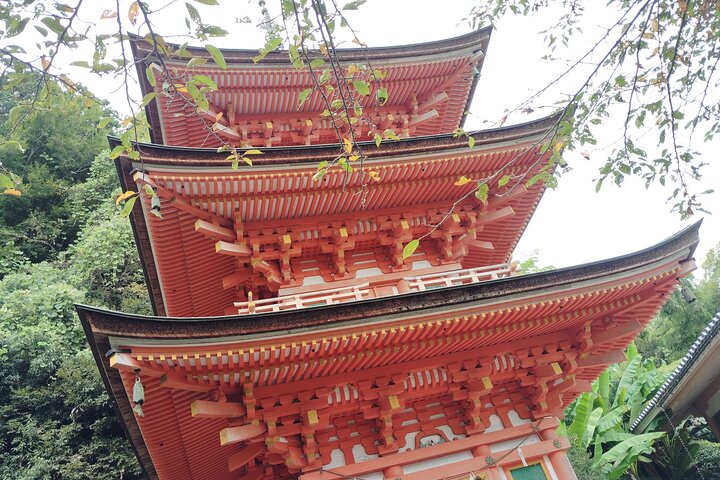 Biwa See : Mystische Chikubu Insel Bootstour von vielen Häfen