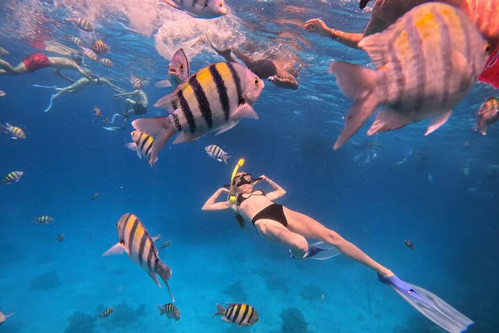 Crociera di lusso a Orange Bay e gita sull'isola di Hula Hula