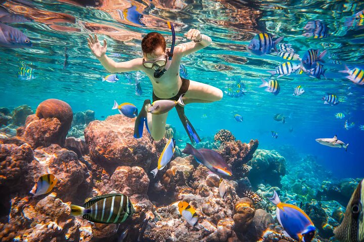Crociera di lusso a Orange Bay e gita sull'isola di Hula Hula