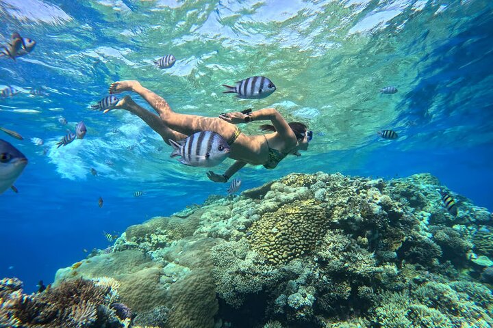 Crociera di lusso a Orange Bay e gita sull'isola di Hula Hula