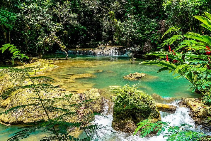 YS Falls y Black River Safari Costa Sur desde Negril Jamaica