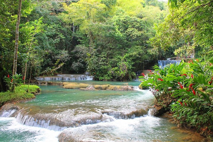 YS Falls y Black River Safari Costa Sur desde Negril Jamaica