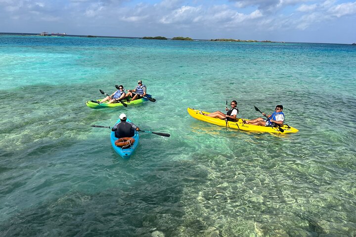 Tour en kayak por la isla de cristal marino