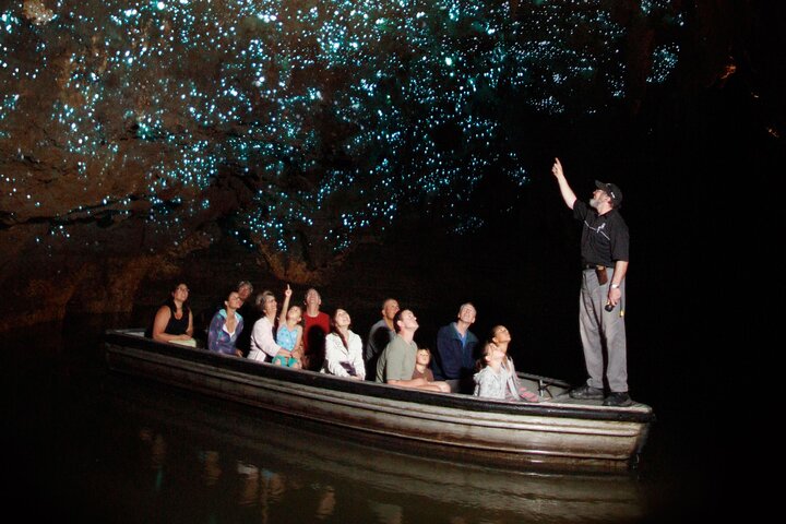 Auckland naar Waitomo Glowworms, Kiwi House & Blue Springs dagtour