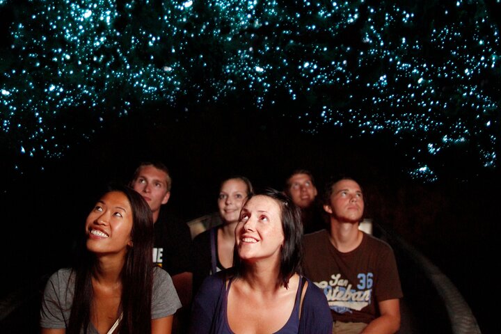 Auckland naar Waitomo Glowworms, Kiwi House & Blue Springs dagtour