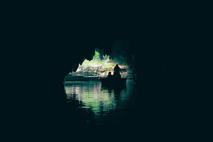 Auckland naar Waitomo Glowworms, Kiwi House & Blue Springs dagtour