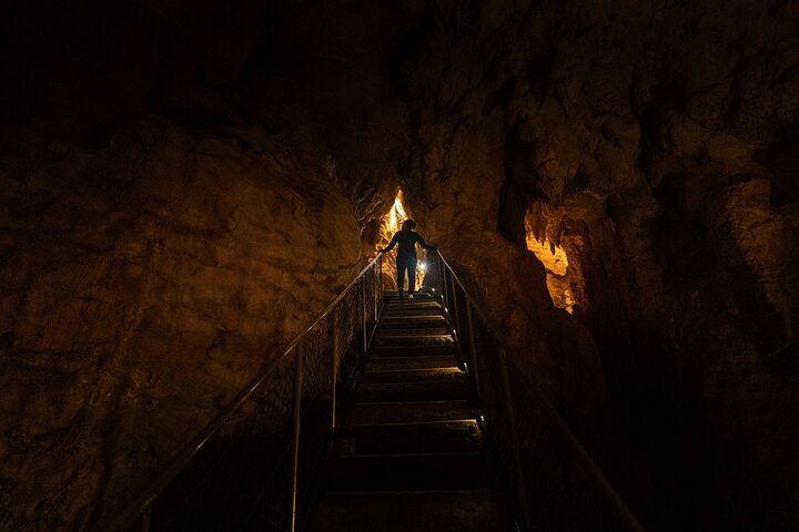 Auckland naar Waitomo Glowworms, Kiwi House & Blue Springs dagtour