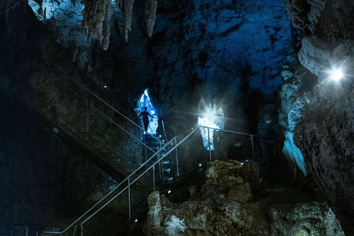 Auckland naar Waitomo Glowworms, Kiwi House & Blue Springs dagtour