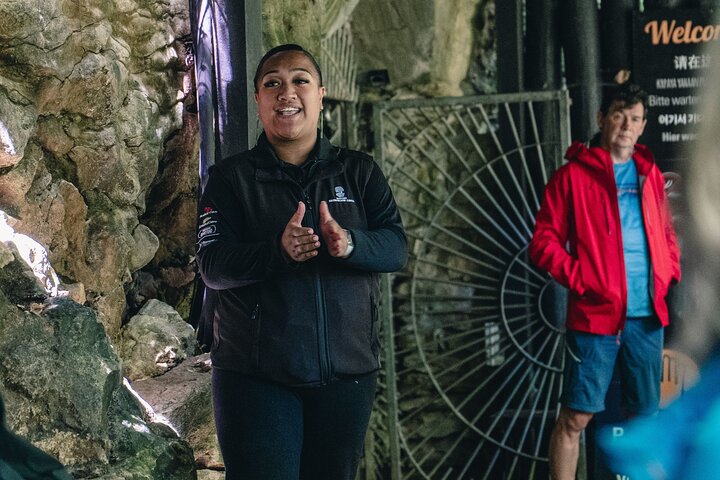 Auckland naar Waitomo Glowworms, Kiwi House & Blue Springs dagtour