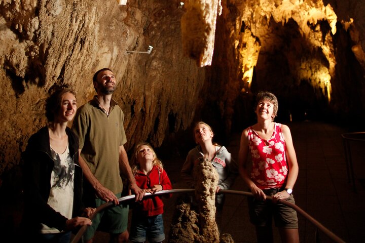 Auckland naar Waitomo Glowworms, Kiwi House & Blue Springs dagtour