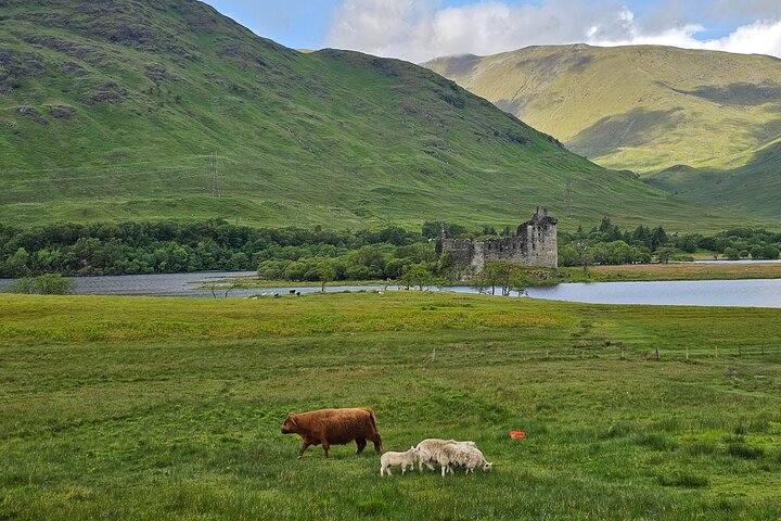 Privérondleiding door Highlands, Oban, Glencoe, Lochs & Castles vanuit Glasgow