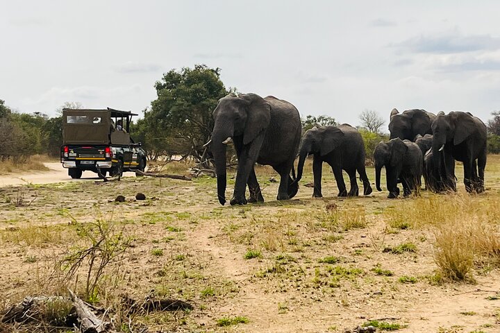 Kruger National Park Morning Safari Experience (minimaal 2 personen)