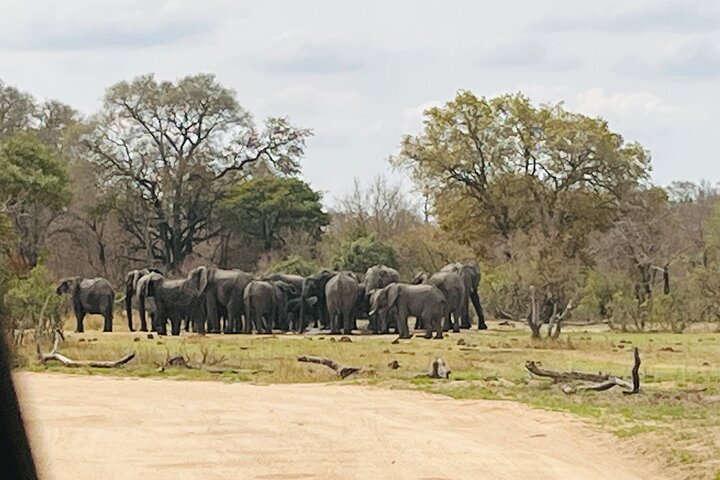 Kruger National Park Morning Safari Experience (minimaal 2 personen)