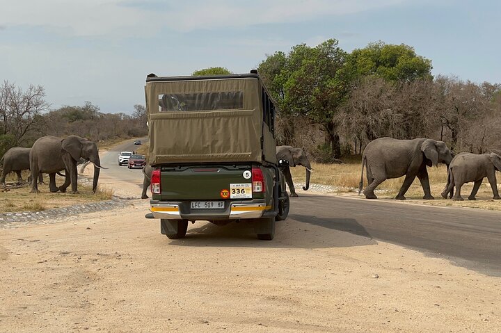 Kruger National Park Morning Safari Experience (minimaal 2 personen)