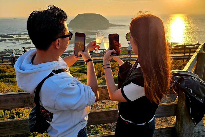 Phillip Island: Golden Hour Penguin Express Tour med Island Pickup