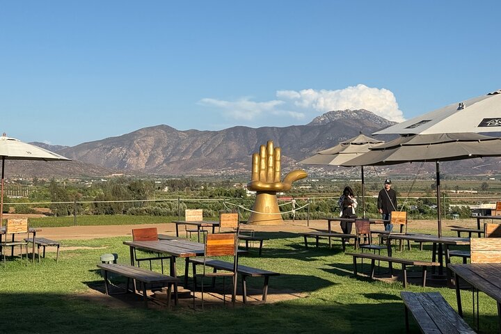 Privat Deluxe vinresa till Valle de Guadalupe med lyxfordon