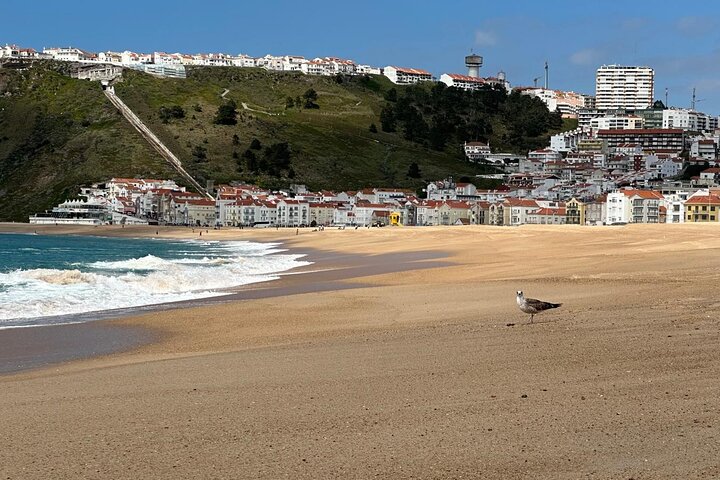 Excursão privada a Fátima, Nazaré e Obidos