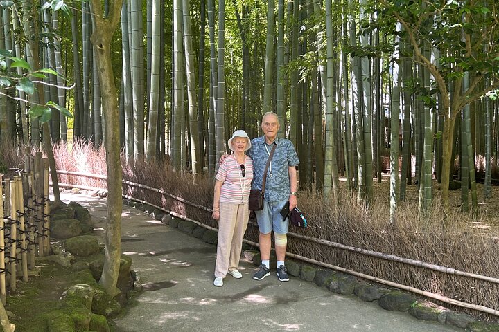 Furgoneta lanzadera Tour Kamakura de ida y vuelta desde Tokio, Yokohama