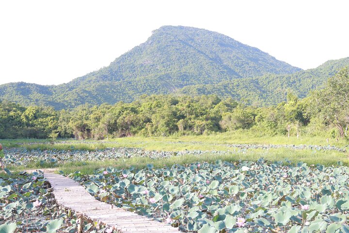 My Son Sanctuary Private Tour - tidlig morgen eller halvdagstur