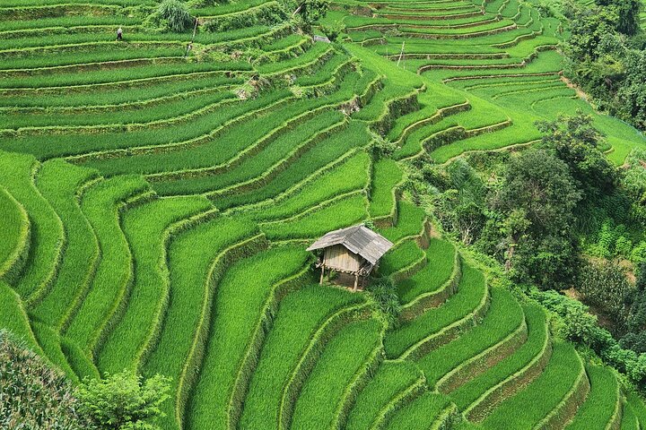 Trilhas escondidas de 3 dias em Mu Cang Chai