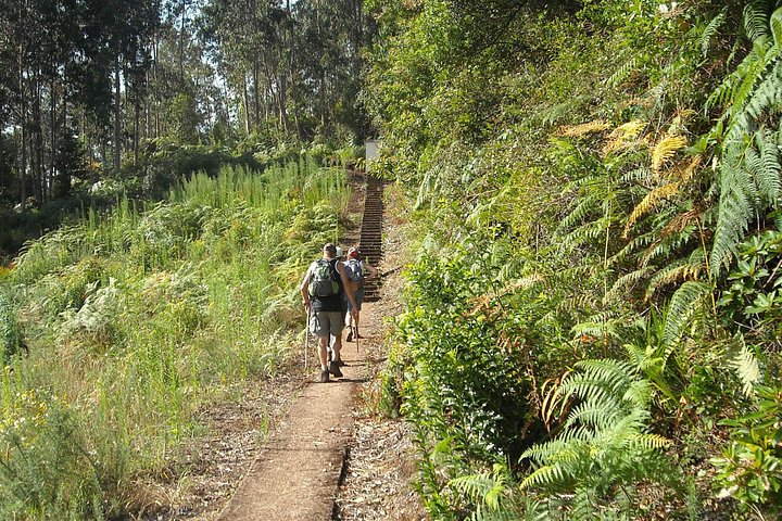 Madeira: Levada Referta - Castelejo Guided Walk