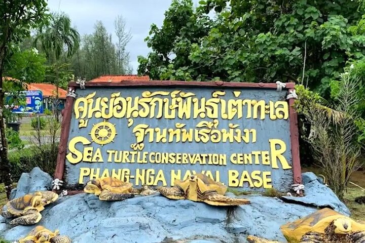 Punti salienti di Khao Lak con tempio, tartarughe ed elefanti